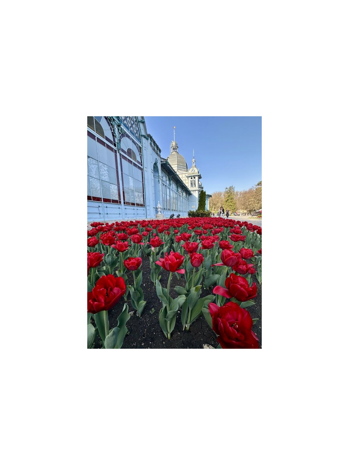 Затерянный Железноводск: из настоящего в прошлое
