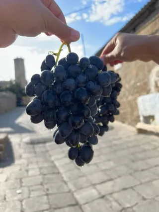 Винное искусство в Дербенте