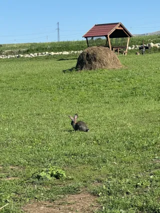 Душевное путешествие в Хунзах из Каспийска