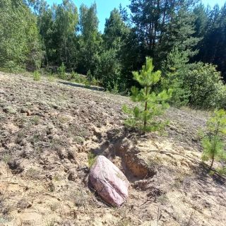 От «пьяного леса» до родины Евпатия Коловрата: необычные места Рязанской области (на вашем авто)