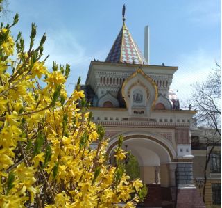 Топ-5 лучших мест Владивостока