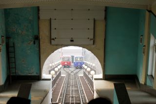 Владивосток на ладони: пять главных сопок