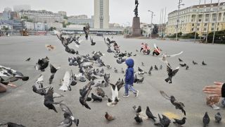 Город у моря — Владивосток