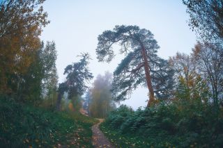 Были и легенды древнего Городца