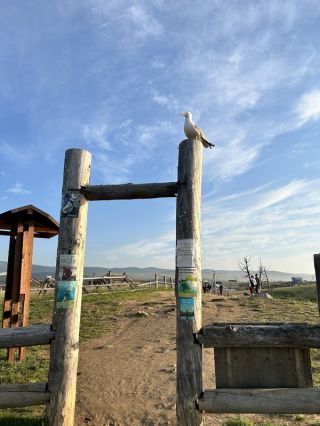 Влюбиться в остров Ольхон