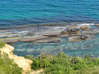 Морские деликатесы острова Русский