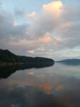 Морские деликатесы острова Русский