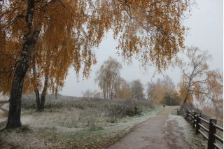 Заповедный Плёс как на ладони
