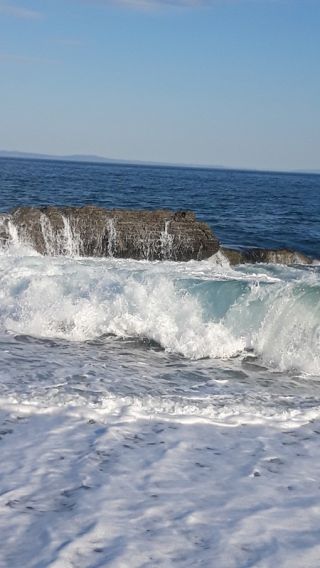 Морские деликатесы острова Русский