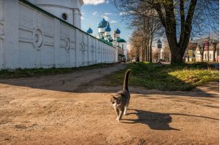 Углич — душа русской провинции