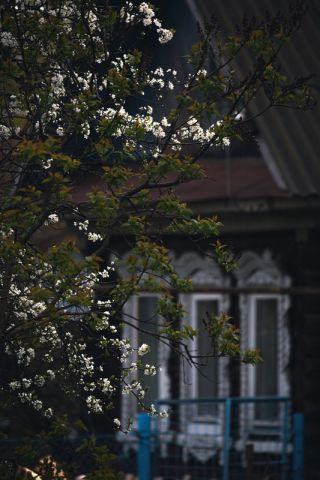 Тайный Городец: когда главное уже посмотрели
