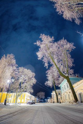 Тайный Городец: когда главное уже посмотрели