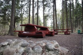 Зов зеленоградских курганов: квест по району Силино
