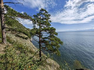 Хайкинг по Большой Байкальской тропе