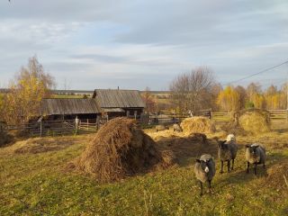 Прикоснись к Удмуртии: из Ижевска — в музей-заповедник «Лудорвай»