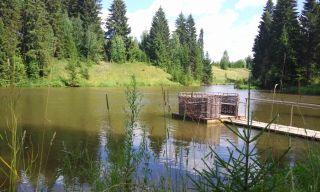Прикоснись к Удмуртии: из Ижевска — в музей-заповедник «Лудорвай»