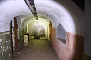 Мыс Тобизина и форты острова Русский
