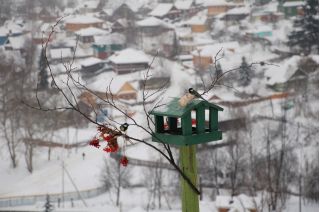 Плес — самоцвет русской земли