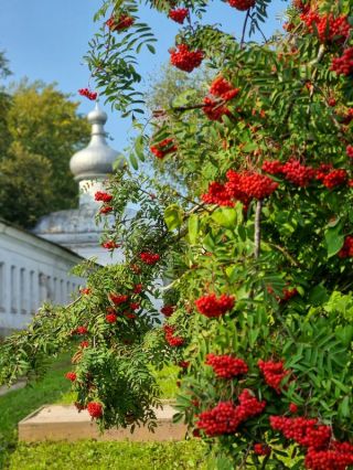 Святое Поозерье: Перынский скит и Юрьев монастырь (на вашем авто)