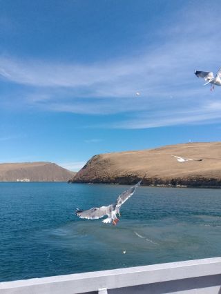 Славное море, священный Байкал