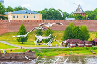 Аз есмь царь! Иван Грозный и Новгород