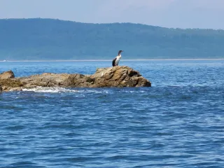 По Японскому морю на моторной лодке!