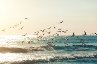 Хучнинский водопад, экраноплан «Лунь» и Дербент — поездка из Каспийска