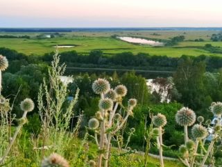 Святыни Старой Рязани, легенды и тайны древнего городища