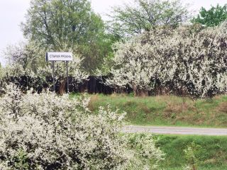 Святыни Старой Рязани, легенды и тайны древнего городища
