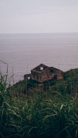 Затерянные острова и лежбище морских львов: фотоприключение на катере!