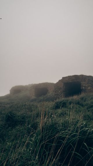Затерянные острова и лежбище морских львов: фотоприключение на катере!