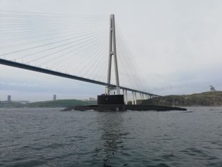Вокруг острова Русский — на скоростном катере