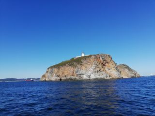 Вокруг острова Русский — на скоростном катере