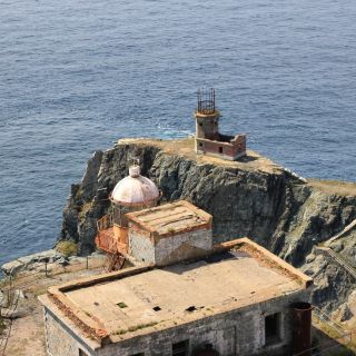 Таинственный Аскольд: остров с богатым животным миром и любопытной историей