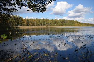 Велопрогулка к Мещерским озерам