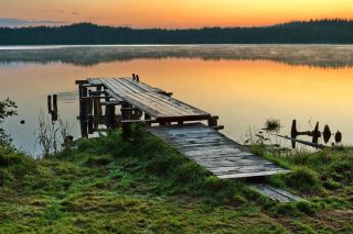 Велопрогулка к Мещерским озерам
