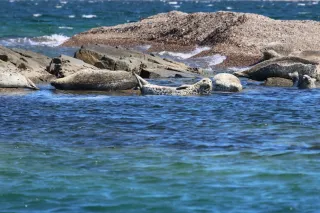 Морское путешествие по островам Японского моря