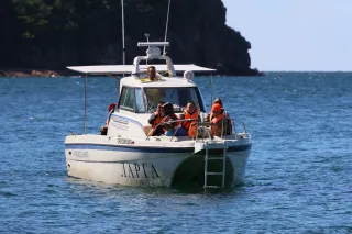 Морское путешествие по островам Японского моря