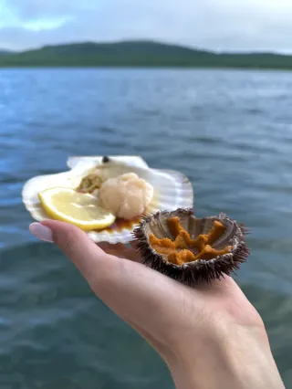 Морское путешествие по островам Японского моря