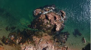 Морское путешествие по островам Японского моря