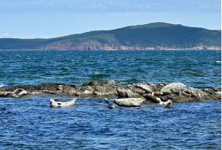 Морское путешествие по островам Японского моря