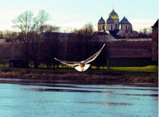 Мотоэкскурсия по Великому Новгороду