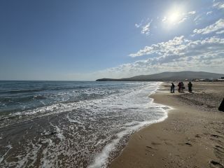 Экскурсия 3 в 1: сафари-парк + бухты Шамора и Стеклянная