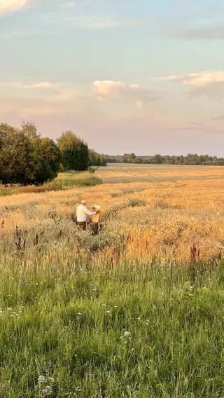 Живописный Плёс — на арт-пикнике (или в мастерской в холодное время года)