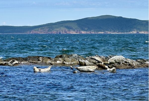 Морское путешествие по островам Японского моря